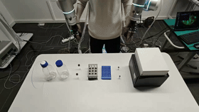 Step 1 (robot demo)