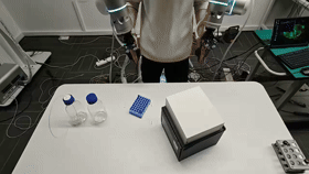 Step 2 (robot demo)